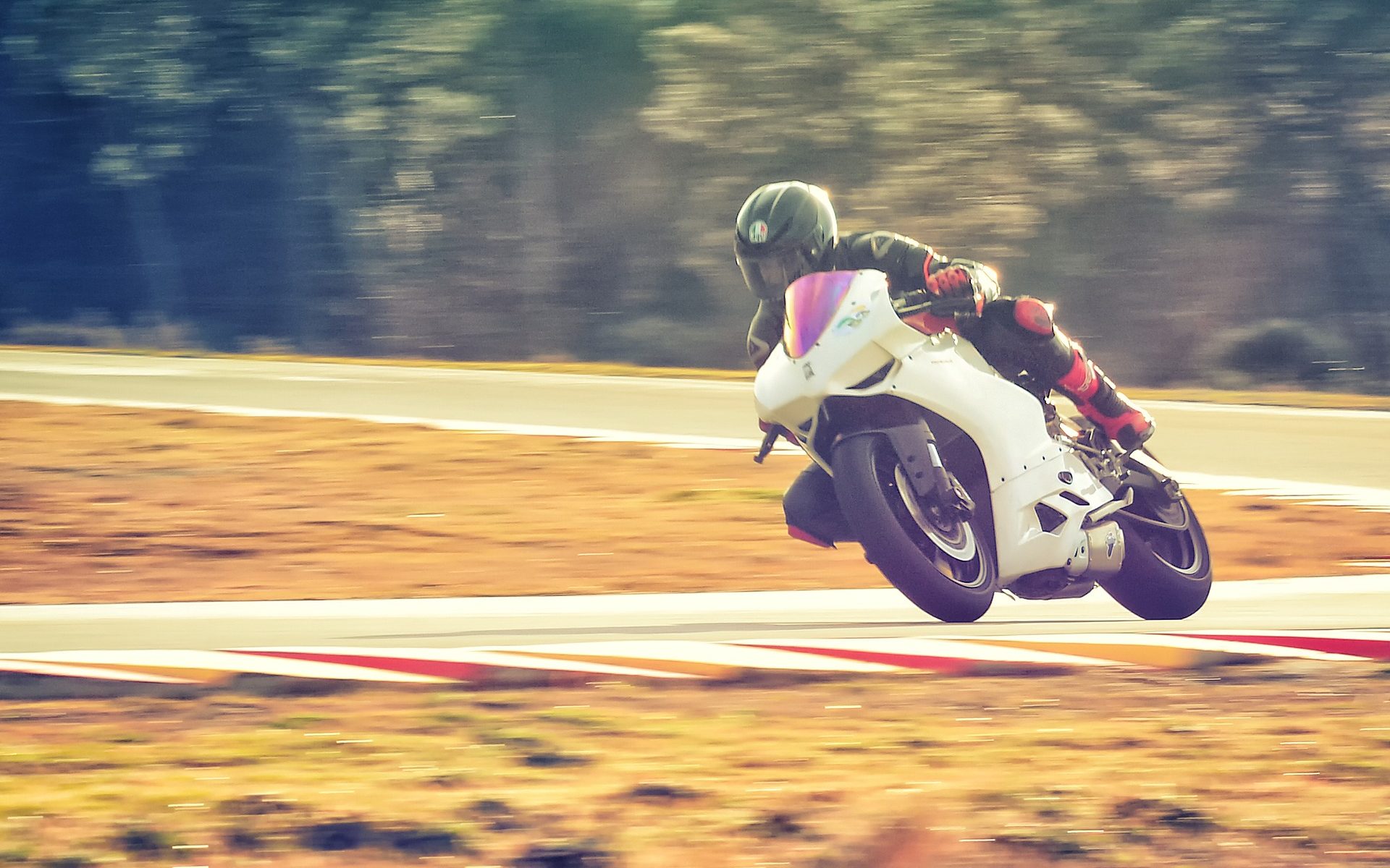 Ducati Racing Photo